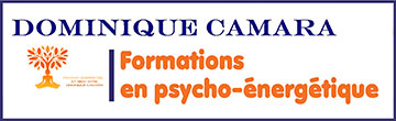 Formations en psycho-énergétique en ligne et en présentiel (magnétisme/thérapies énergétiques) - Formations en thérapies psycho-énergetiques/formations a distance(Elearning) - Séances individuelles/soins energetiques - Séances individuelles thérapie énergetique - Dominique Camara : Thérapies et formations en Psycho-énergétique - J'exerce depuis plus de 30 ans en qualité de praticien en thérapie psycho-énergétique et thérapie d’accompagnement psychologique et karmique. Je vous propose mes consultations à distance par Watsapp, par Zoom ou à votre domicile. J’interviens pour l’harmonisation de l'habitat sur place ou à distance. Depuis de nombreuses années je transmets mon expérience et savoir faire dans des Formations certifiantes en présentiel, en ligne ou en E-learning.