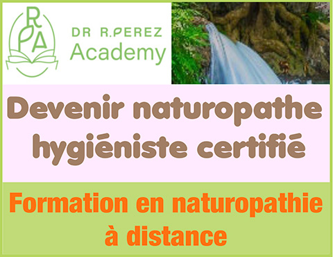 Formation en naturopathie à distance - Devenir naturopathe hygiéniste certifié - Cursus naturopathique théorique/pratique personnalisé (hygiène vitale, santé naturelle/détox, équilibre du système digestif, nutrition/diététique) - Dr Raphael Perez | Drraphaelperez.fr - Le Docteur Raphaël Perez, praticien référent en santé naturelle/détox et formateur/conférencier en naturopathie, propose une formation en naturopathie à distance (Visio Zoom) qui permet de devenir naturopathe hygiéniste certifié - Cet enseignement de la naturopathie a distance est un véritable cursus naturopathique théorique/pratique personnalisé complet sur divers axes : hygiène vitale, santé naturelle/détox, équilibre du système digestif, nutrition/diététique - Cette formation de naturopathe hygiéniste se déroule en 2 ans grâce à la formation distanciel  du Dr Raphaël Perez avec un cours écrit, du travail personnel guidé, des visio en live et une accompagnement/suivi personnalisé (entretiens individuels, aide à la création d’entreprise).