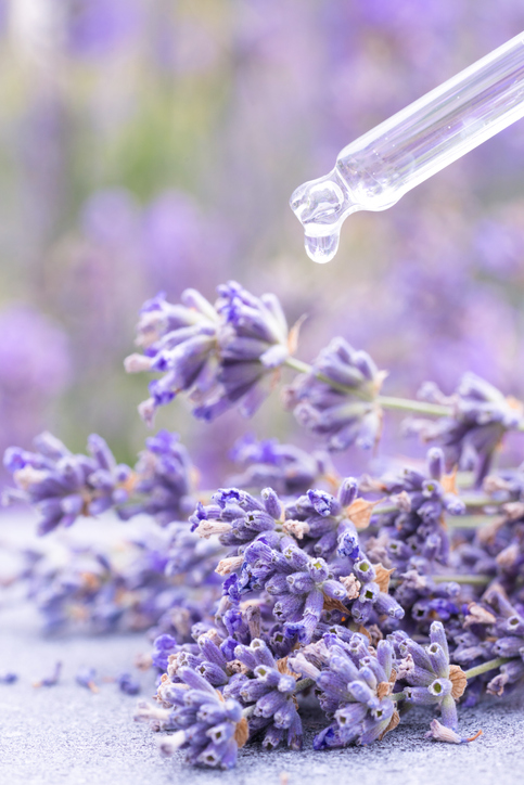Se former à la naturopathie 