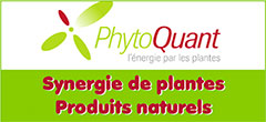 PhytoQuant - Compléments alimentaires naturels de la plus haute qualité - Synergie de plantes - PhytoQuant est une entreprise familiale qui impose sa différence dans le monde de la santé et du bien-être par son éthique et son sens de l’innovation. Depuis plus de 20 ans, PhytoQuant propose des compléments alimentaires naturels de la plus haute qualité, élaborés grâce à des procédés uniques et respectueux du vivant végétal. C’est sans doute la raison pour laquelle, les produits de bien-être et de santé PhytoQuant sont recommandés par des milliers de praticiens de santé en France. Découvrez les secrets du succès et de la qualité des compléments alimentaires PhytoQuant. Fort de 36 ans d’expérience dans le domaine, Nicola Frassanito a fondé PhytoQuant le 4 avril 2004. Le nom “PhytoQuant” associe “phyto” (plantes) et “quant” (quantique). Ce choix illustre la mission que s’est fixée le fondateur : « Réussir à extraire, à préserver et à transmettre les bienfaits des plantes en les potentialisant avec l’énergie la plus pure et puissante du monde, celle de l’amour. » Derrière ce credo se cache une quête de l’excellence jusque dans les moindres détails. Créée en 2004 par Nicola Frassanito, PhytoQuant est une entreprise familiale qui impose sa différence dans le monde de la santé et du bien-être par son éthique et son sens de l’innovation, et vous propose des produits naturels de la plus haute qualité. Compléments alimentaires, soins de peau, ou encore produits naturels pour la maison … : chez PhytoQuant, vous trouverez des formules naturelles et efficaces, sans conservateurs ni additifs chimiques, élaborées grâce à des procédés uniques et respectueux de l’environnement, dans une démarche éco responsable. Nous fabriquons tous nos produits avec amour et l’objectif de vous offrir le meilleur de la nature et toute son énergie pour plus de confort et une meilleure qualité de vie. 
